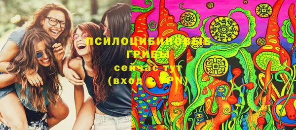 прущие крисы Алзамай