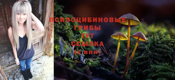 героин Алексин