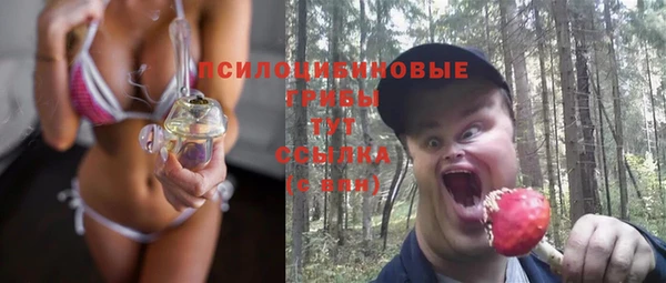 прущие крисы Алзамай