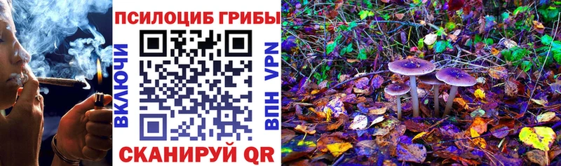 где продают   omg онион  Псилоцибиновые грибы Psilocybine cubensis  Аргун 